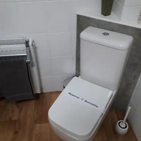 아파트 Das Ringapartment *